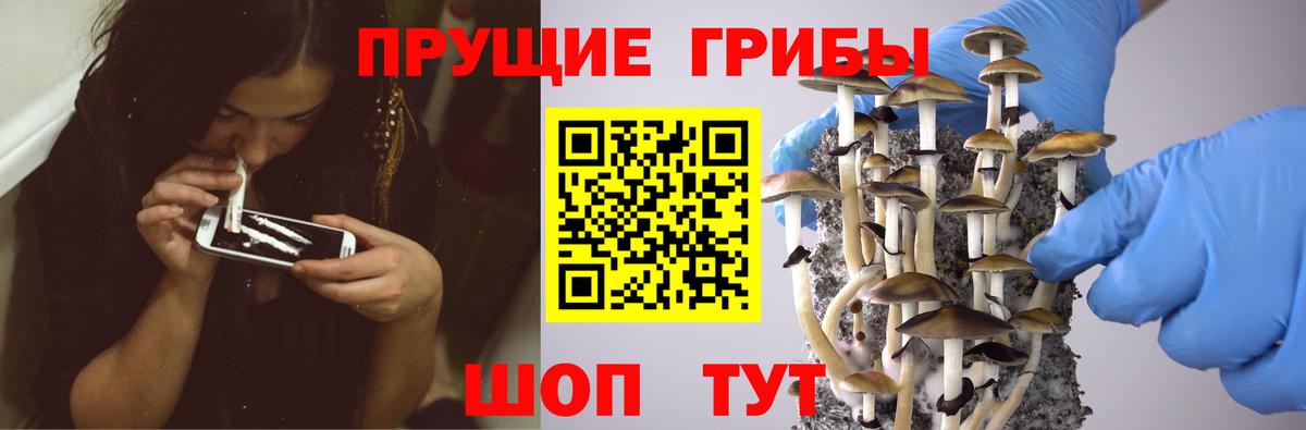 Магадан  Галлюциногенные грибы Magic Shrooms  даркнет сайт  Вход с VPN 